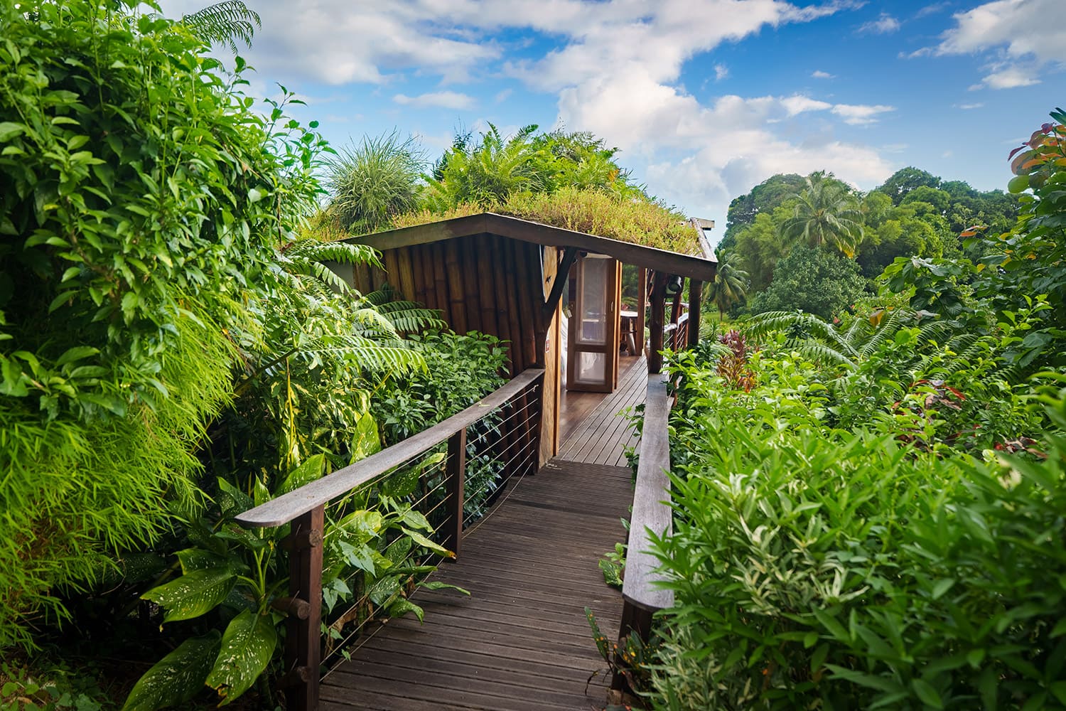 vl-bungalows-bloc-lichee-02