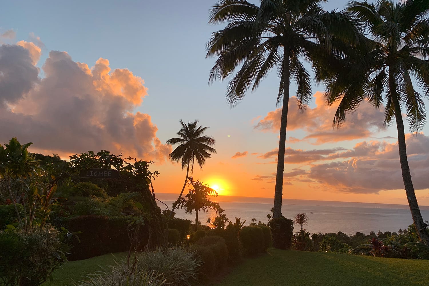 vl-restaurant-bloc02-bar01