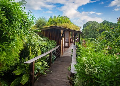 vl-bungalows-bloc-lichee-02