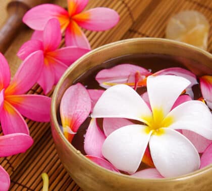 vl-accueil-bloc05-02